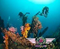 沙巴美人鱼-珊瑚湾海岛生态游