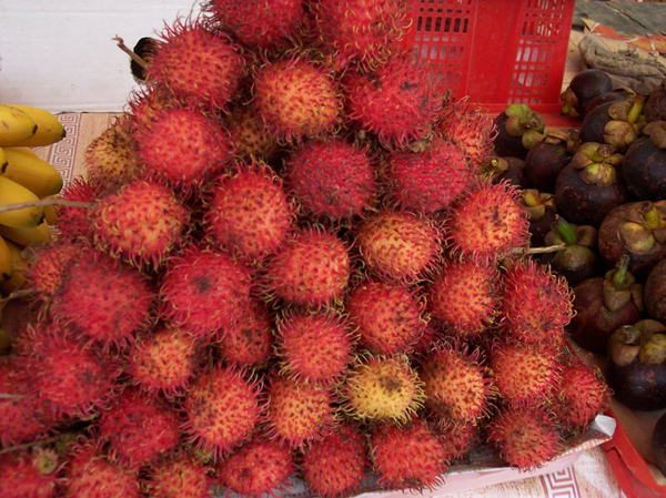 马来西亚-沙巴特色热带水果红毛丹