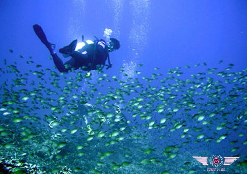 沙巴潜水,SIPADAN