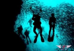 诗巴丹潜水探秘海底世界