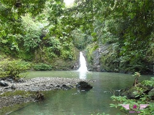 踏缤野生动物保护区