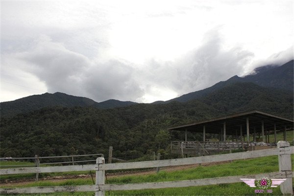 波令温泉